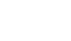 Zontos logo